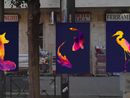 Via Borgaro si colora: dieci nuove serrande artistiche a tema animale Via Borgaro si colora: dieci nuove serrande artistiche a tema animale