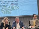 Alta Langa: una bollicina dai piccoli numeri ma di grande qualità vino dell’anno 2025