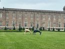 Il Bestiario di Luigi Mainolfi invade gli spazi della Reggia di Venaria