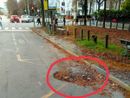 A Torino buche sull'asfalto non riparate per anni: &quot;Prima facciamo la metro 2&quot;