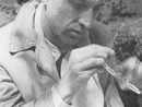 Cesare Pavese