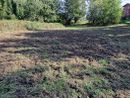 Parco 5 laghi di Ivrea, da oltre un mese bloccato il contenimento dei cinghiali