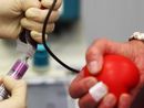 donatore di sangue
