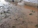Grandinate sulla zona Sud del Torinese, ingenti danni alle colture