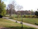 Nuove idee per il parco del Valentino Nuove idee per il parco del Valentino