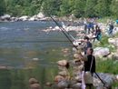 Il futuro getta l'amo: dalla Regione 1,5 milioni di euro per la pesca e acquacoltura in Piemonte