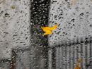 Le temperature torneranno a salire