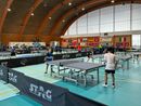 partita di ping pong