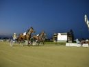 Doppio spettacolo all'Ippodromo di Vinovo: il 1° settembre, Gran Premio Marangoni open e Filly in notturna