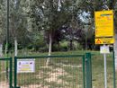 Cani liberi nei parchi e pericolo di aggressioni: "Servono più cartelli e controlli" Cani liberi nei parchi e pericolo di aggressioni: "Servono più cartelli e controlli"