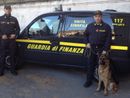 Evade gli arresti domiciliari: arrestato dalla Guardia di Finanza a Lingotto