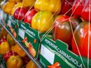 Fiera Nazionale del Peperone di Carmagnola: tanti gli eventi POP