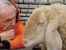 Al Maestro dell'animazione Bruno Bozzetto il Premio Stella della Mole Green