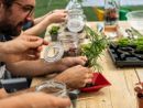 Festival del Verde, al via la seconda edizione: oltre 150 appuntamenti diffusi tra giardini, orti urbani e parchi pubblici