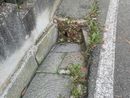 Temporali in arrivo, la paura di residenti e ristoratori in corso Moncalieri: &quot;Bisogna pulire tutti i tombini della collina&quot;