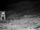 Lince avvistata al Parco del Gran Paradiso: &quot;catturata&quot; di nuovo dall'occhio della fototrappola