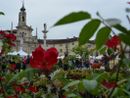 A Venaria Reale, un weekend di fiori e profumi con la Festa delle rose