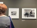 Donna che osserva una mostra fotografica