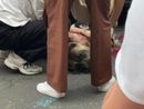 Dramma sfiorato sotto il caldo sole di Loano: cane salvato in extremis