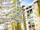 In 1.500 per ottenere la casa popolare da ristrutturare. A Torino altre 100 appartamenti in autorecupero In 1.500 per ottenere la casa popolare da ristrutturare. A Torino altre 100 appartamenti in autorecupero