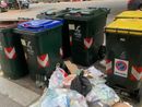 Raccolta differenziata, Poggio Sartori (FdI): "Servizio inefficiente, sulla pelle dei cittadini" Raccolta differenziata, Poggio Sartori (FdI): "Servizio inefficiente, sulla pelle dei cittadini"