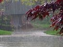 Primavera fa rima con maltempo: in Piemonte quasi il 40% dei giorni accompagnati dalla pioggia