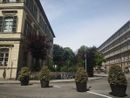 scuola Tommaseo con fioriere