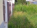 Erba alta e arbusti di oltre un metro: è emergenza verde a Nichelino