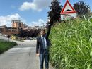 A Torino sfalci in ritardo per via della pioggia, erba alta che sembra una giungla