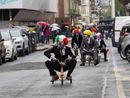 Il &quot;circo&quot; del G7: gli attivisti per il clima si vestono da pagliacci e occupano la tettoia della Rai
