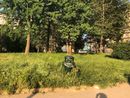 "Gli Stivali del Gatto" torna nei giardini della Circoscrizione 5