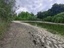 Guasto alla pompa, in secco lo stagno della Pellerina: "Pesci e animali in sofferenza"