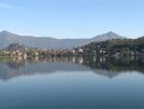 Avigliana, tartarughe infette nel Lago Grande: rischio Salmonella per l’uomo
