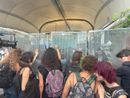 Tensione al Salone del Libro. I pro Pal: "Fuori i sionisti", poi provano a forzare gli accessi. Respinti dalla polizia [FOTO E VIDEO]