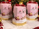 Pandoro Ferragni: Balocco annuncia ricorso. Respinta la richiesta di versare 1,5 milioni al Regina Margherita di Torino