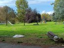 Nichelino, incivili e vandali rovinano il parco di via Trento