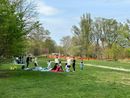 Verso l'ampliamento dell'area picnic alla Pellerina, Fissolo (Moderati): "Si fissino regole ed orari"