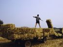 Film in quota, musica e tante mostre: cosa fare a Torino fino a domenica 10 agosto