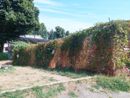 Infiltrazioni e vandalismi sulla scalinata di via Lomellina: "Riqualificazione non prioritaria"