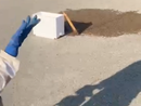 La natura si prende la zona industriale di Orbassano: maxi sciame d'api catturato davanti all'Av El [VIDEO]