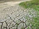 Coldiretti: &quot;I cambiamenti climatici mettono a rischio produzione e occupazione&quot;