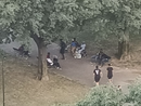 giardini con spacciatori
