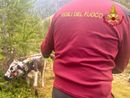 Una mucca e il suo vitello erano rimasti incastrati a 2000 metri di quota