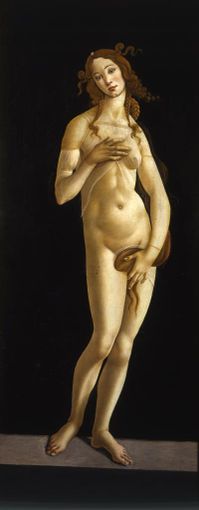I Musei Reali di Torino e San Valentino I Musei Reali di Torino e San Valentino