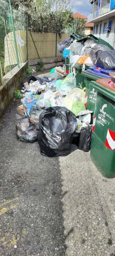 I rifiuti di via Vaninetti I rifiuti di via Vaninetti