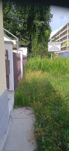 Erba alta e arbusti di oltre un metro: è emergenza verde a Nichelino