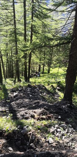 Pragelato, un camioncino si ribalta e cade in un dirupo: morto il conducente 35enne che stava lavorando alla messa in sicurezza della strada
