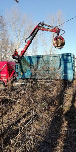 Rifiuti sulle rive della Dora Rifiuti sulle rive della Dora