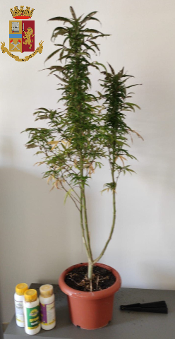 Ivrea, nascondevano in casa un fucile rubato: arrestati Ivrea, nascondevano in casa un fucile rubato: arrestati