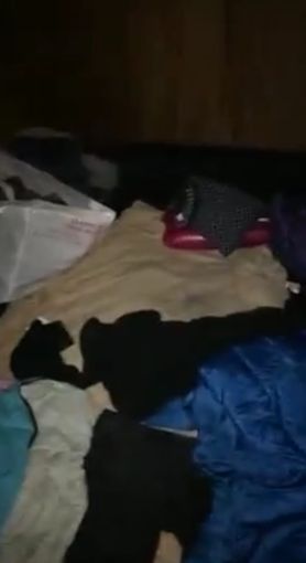 Papà separato "costretto" a vivere in tenda: il suo video-racconto fa il giro dei social Papà separato "costretto" a vivere in tenda: il suo video-racconto fa il giro dei social